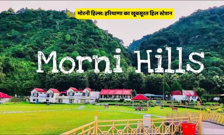 Morni Hills: Beautiful Hill Station of Haryana 🏞️