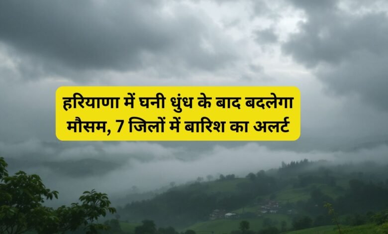 हरियाणा में घनी धुंध के बाद बदलेगा मौसम, 7 जिलों में बारिश का अलर्ट